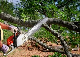 Best Soil Testing and Treatment  in Southern Shores, NC